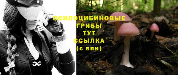 спиды Баксан